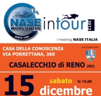 Logo NASE In Tour 